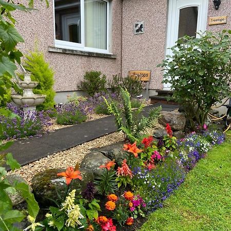 Treetops Bungalow Loch Ness ดรัมนาดรอคิท ภายนอก รูปภาพ