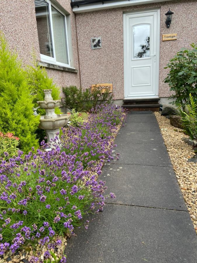 Treetops Bungalow Loch Ness ดรัมนาดรอคิท ภายนอก รูปภาพ