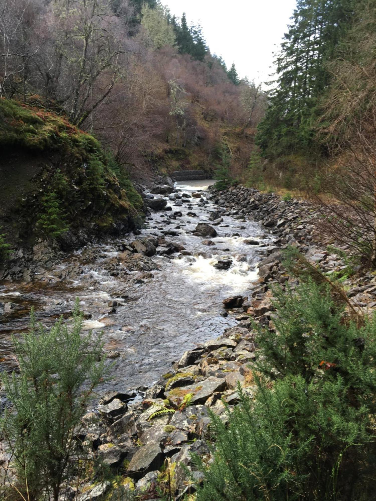 Treetops Bungalow Loch Ness ดรัมนาดรอคิท ภายนอก รูปภาพ